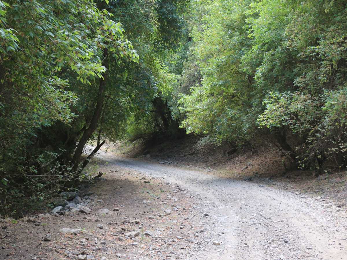 Cowley Canyon-Herd Hollow - FS 20047 photo 5