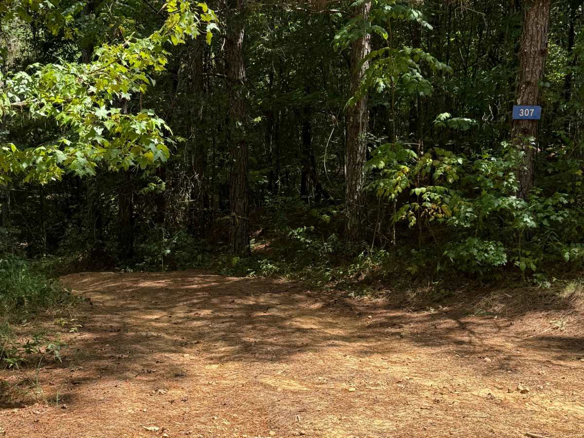 307 trail photo
