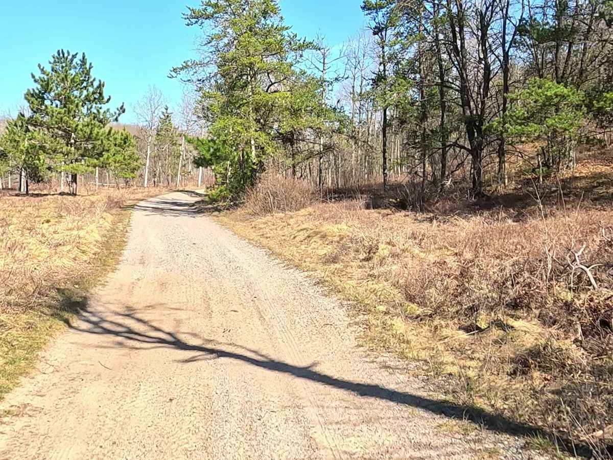 ORV H-57 : Willie - FS 4008 photo 6
