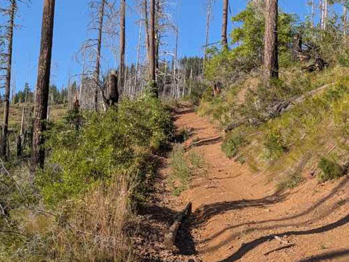 FS 3507-111 trail photo