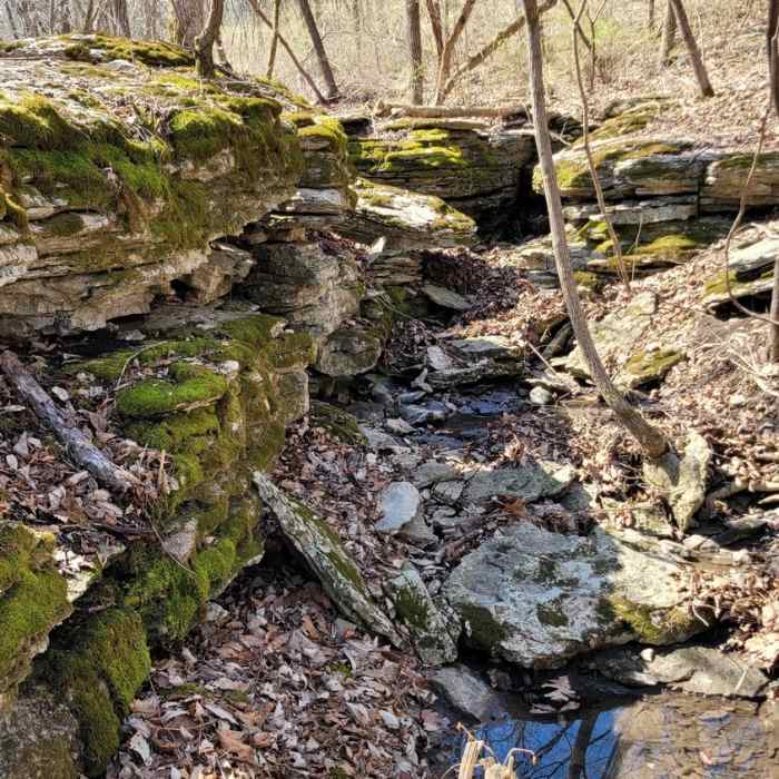 Near Eddy Ballentine Trail