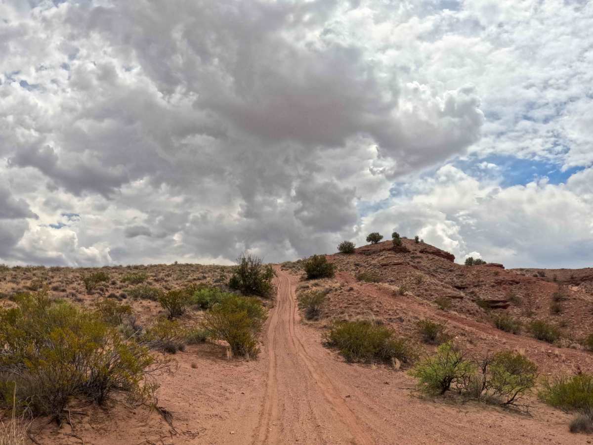 JH0086 trail photo