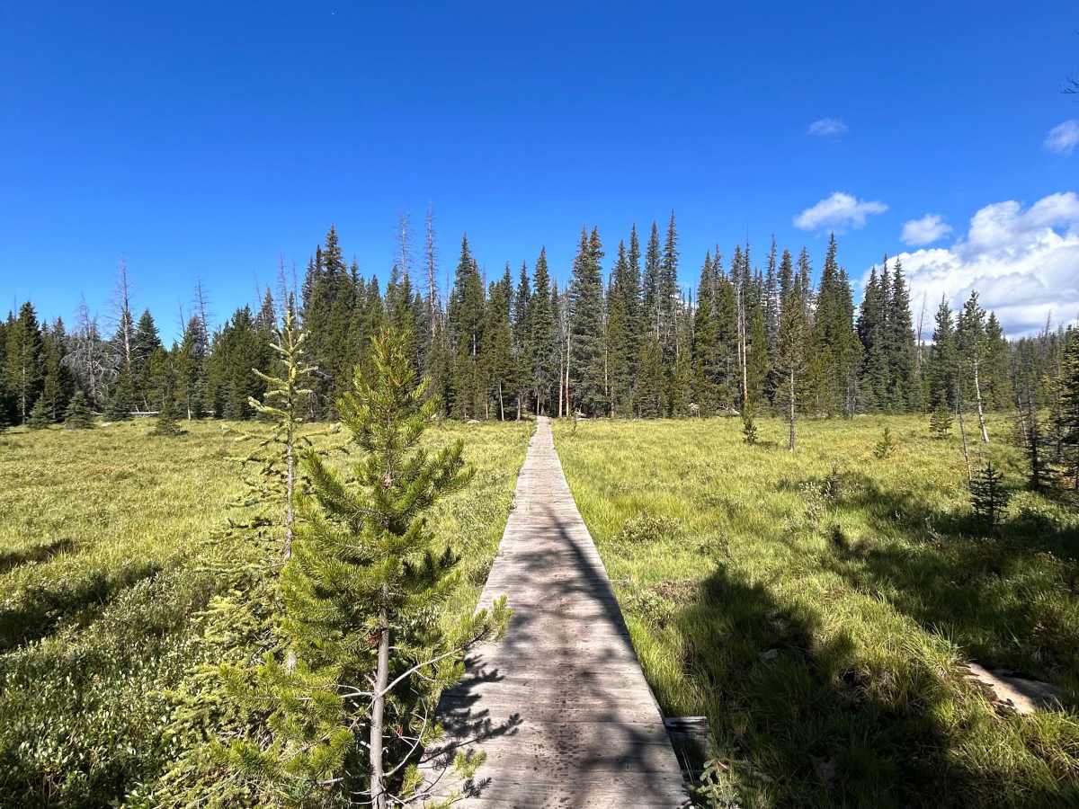 Nez Perce Trail 7092 photo 2