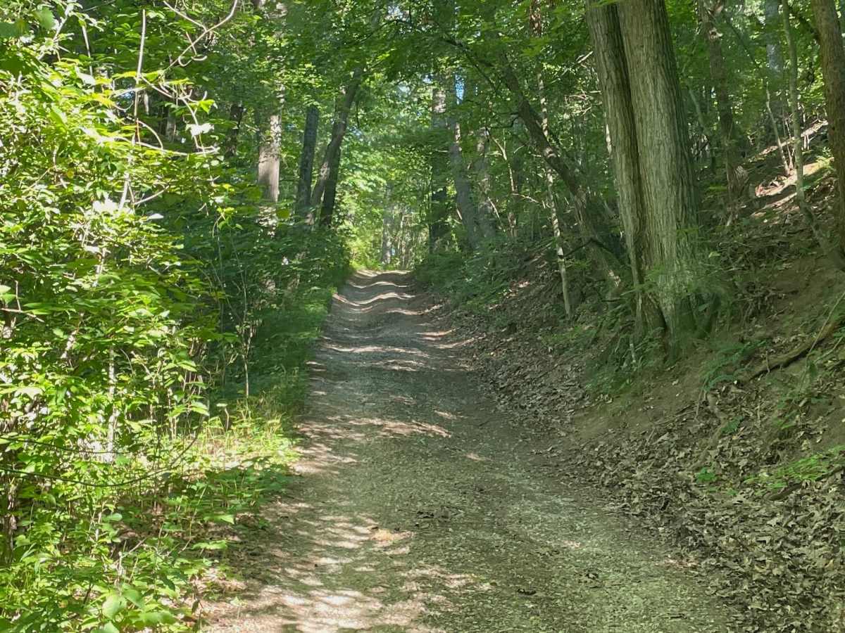 Big Dailey Hill Climb trail photo