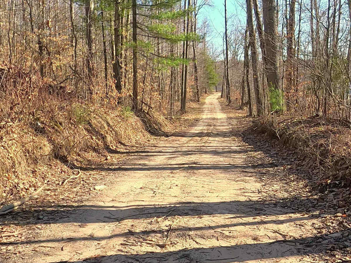 Tabor Rd - FS 4597 photo 2