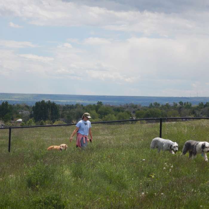 Near Old Kiln Trail