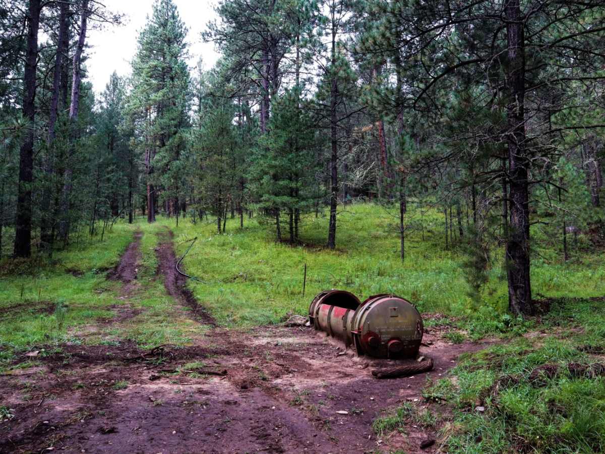Three Mile Canyon Road trail photo