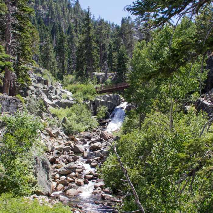 Near Eagle Lake Out and Back