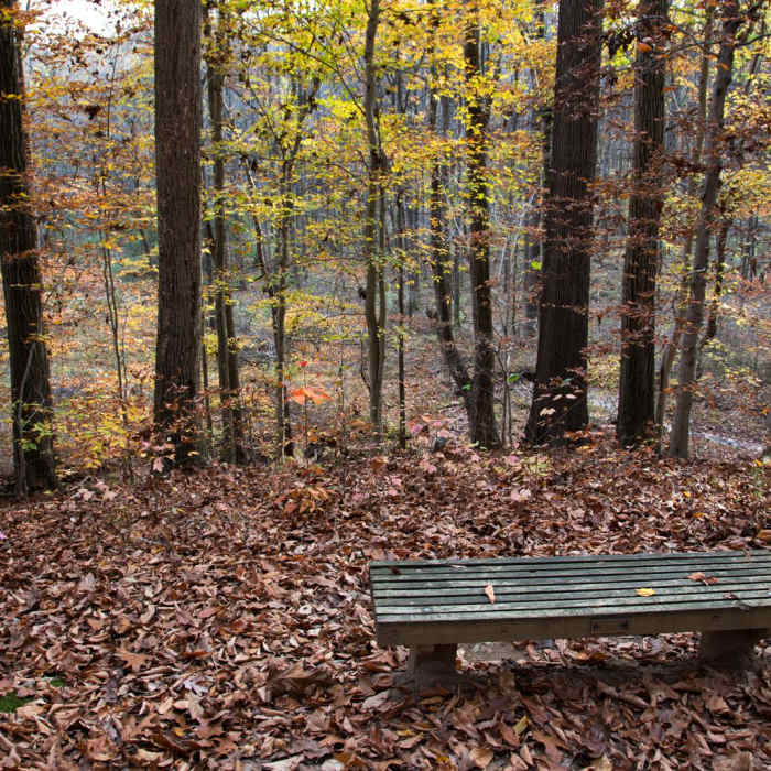 Near Tri-State Marker Trail Near Tri-State Marker Trail