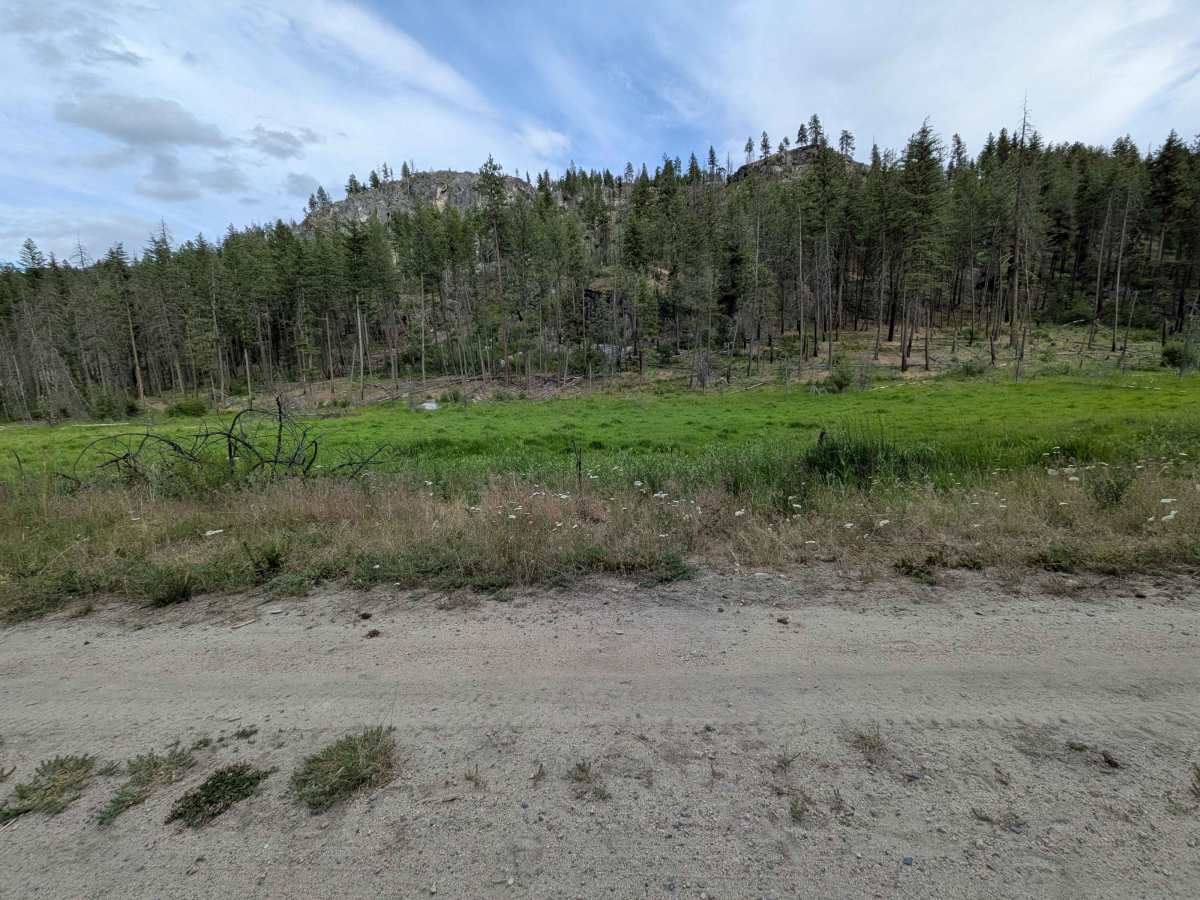 North Cook Mountain Road - South half photo 6