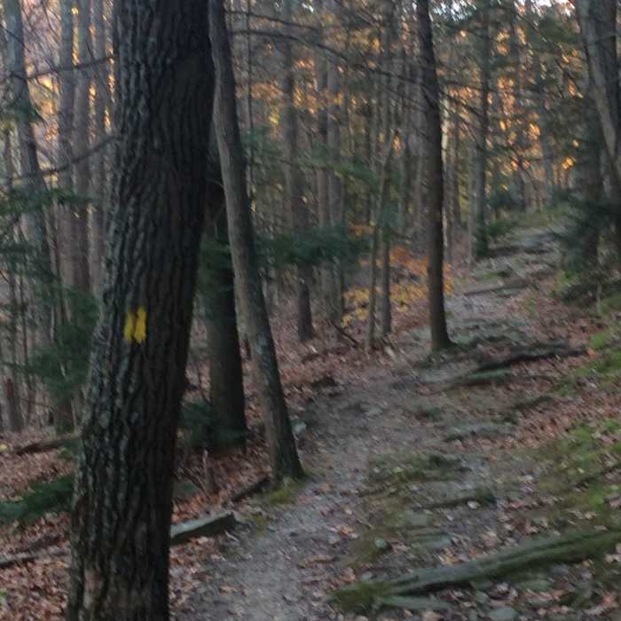 Near Cat Rock Trail