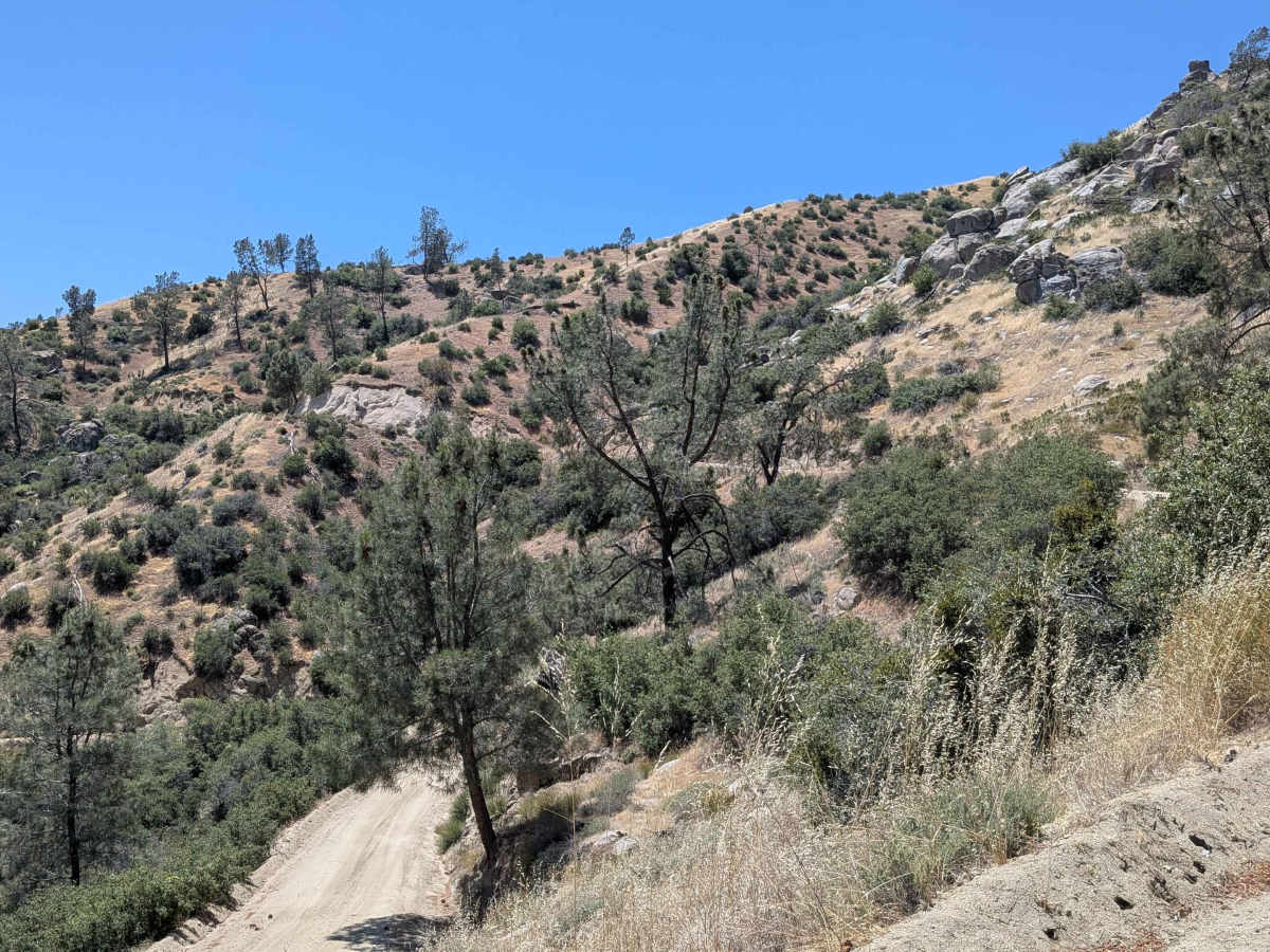 Old State Road South photo 3