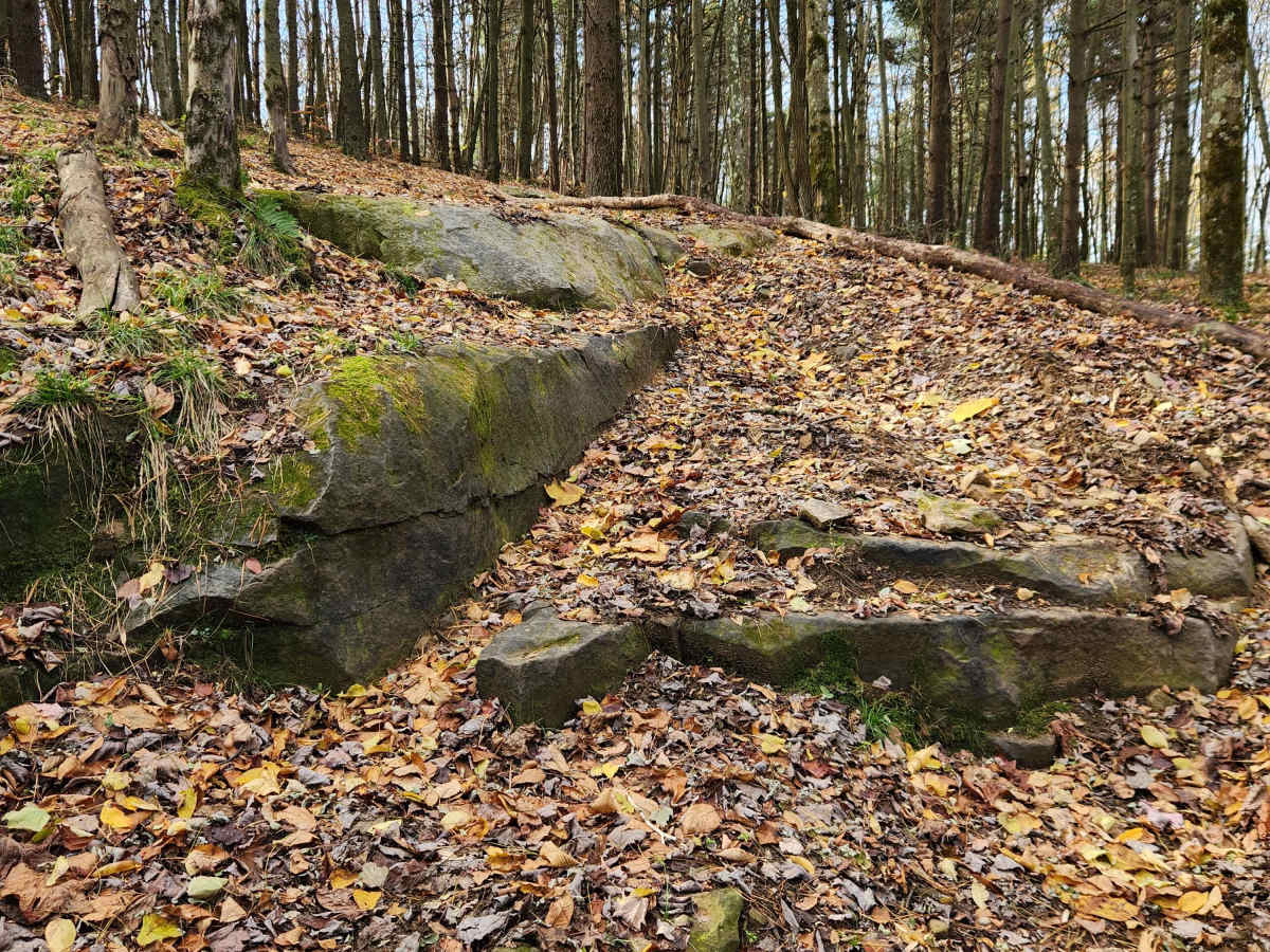 OHV 6 - Rock Run Recreation Area trail photo