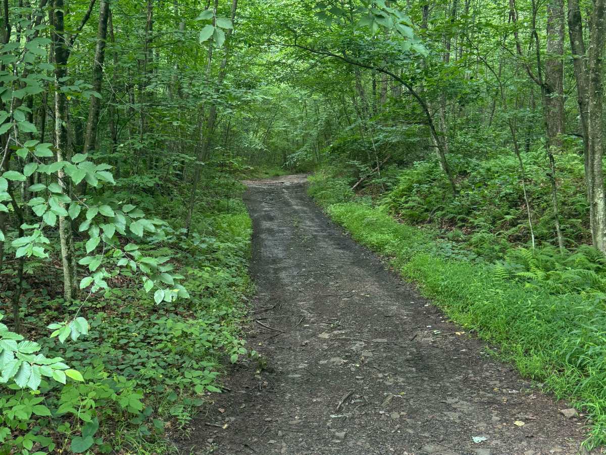 Trail 61 photo 2