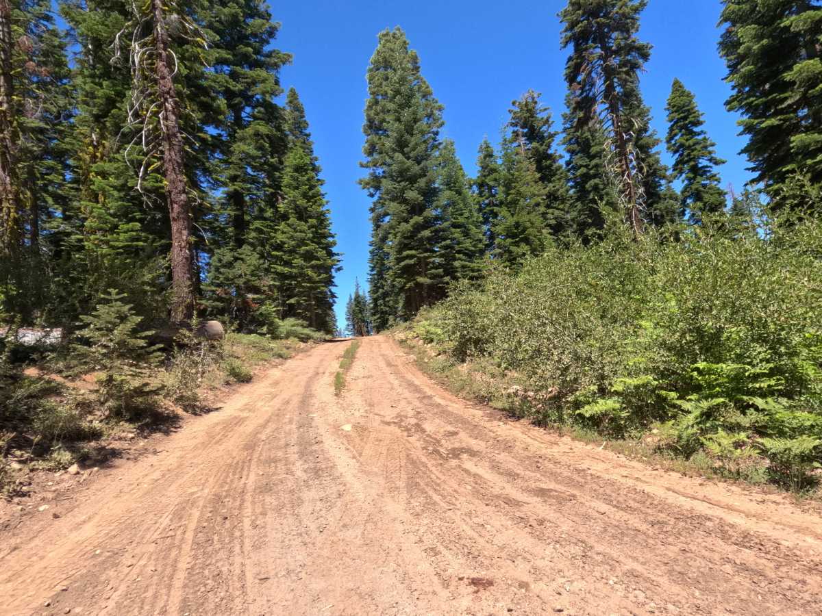 Peavine Corridor - FS 11N99A photo 5