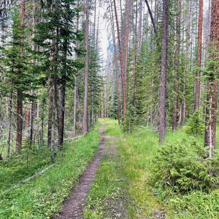 Near Continental Divide Trail: Colorado Section 37