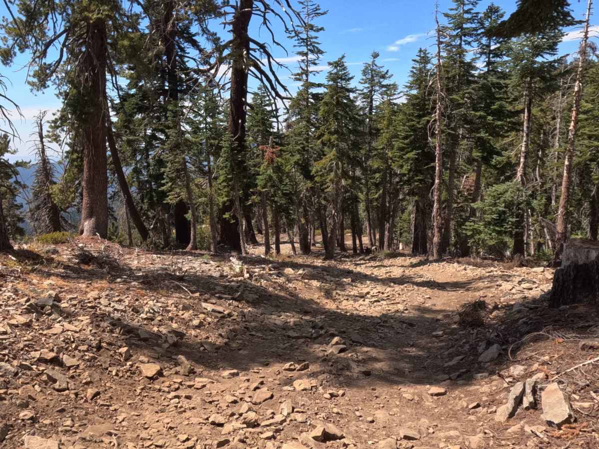 Star Lakes - FS 22E203 photo 5