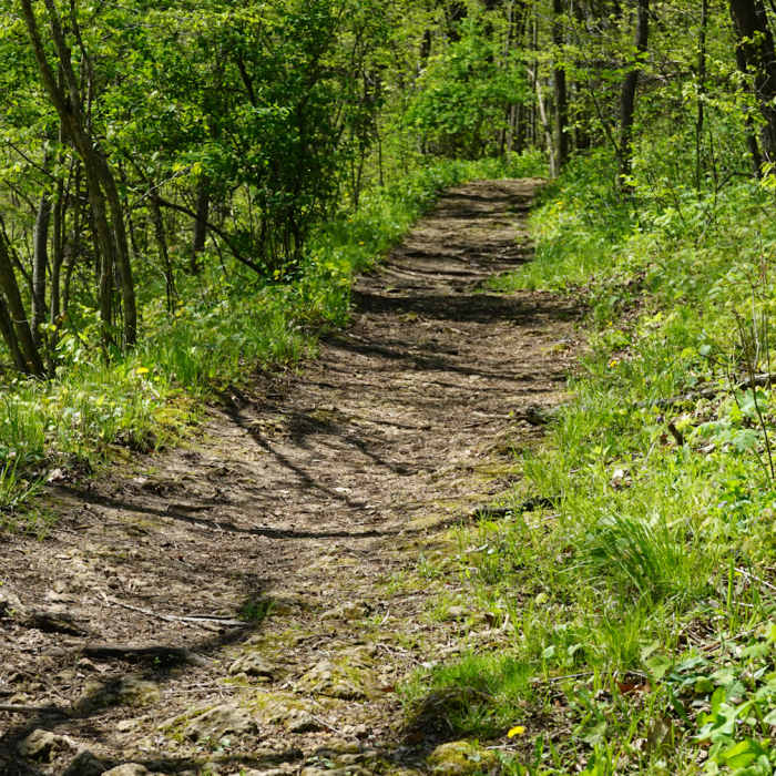 Near River Route Nature Trail
