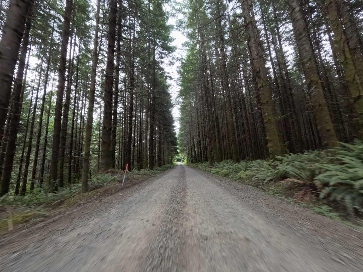 Camp Nine Road photo 6