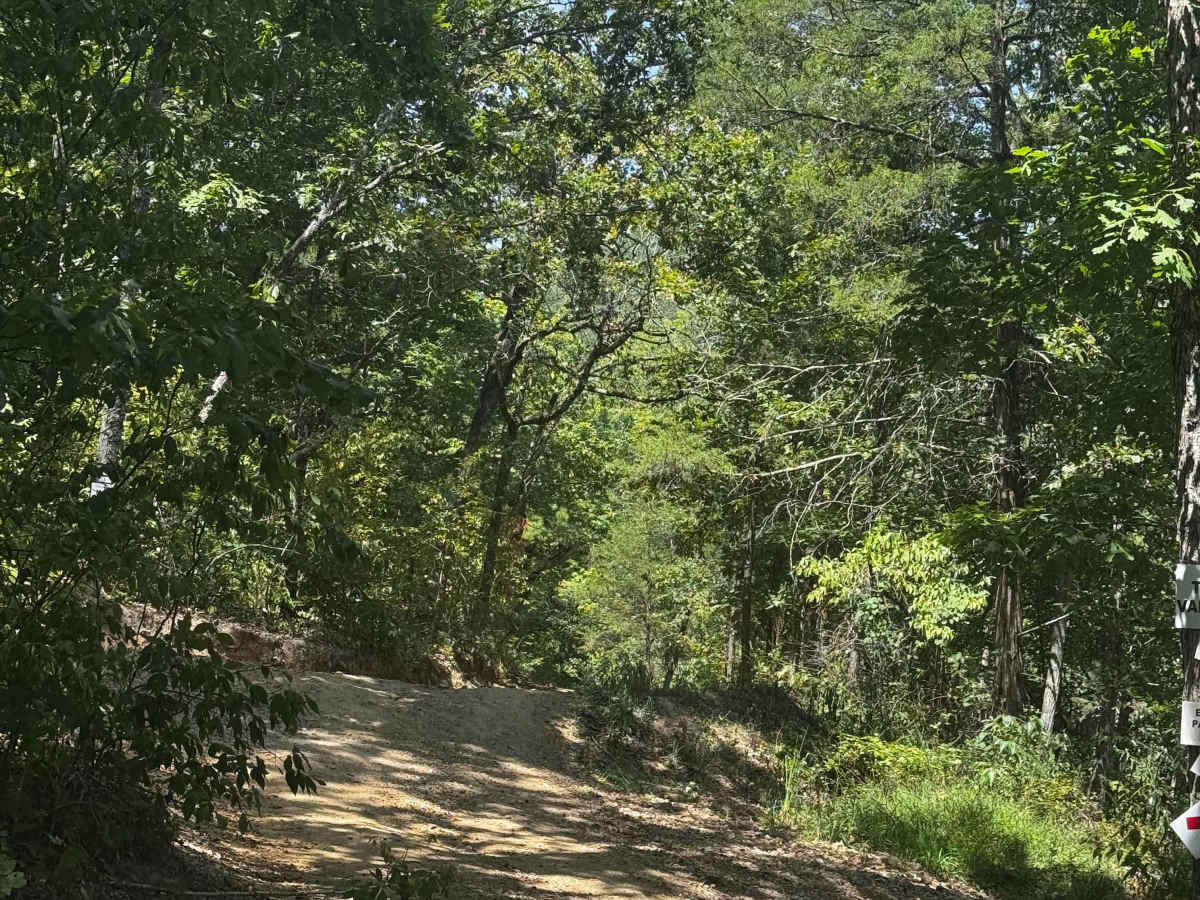 Short Cut to Valley photo 3