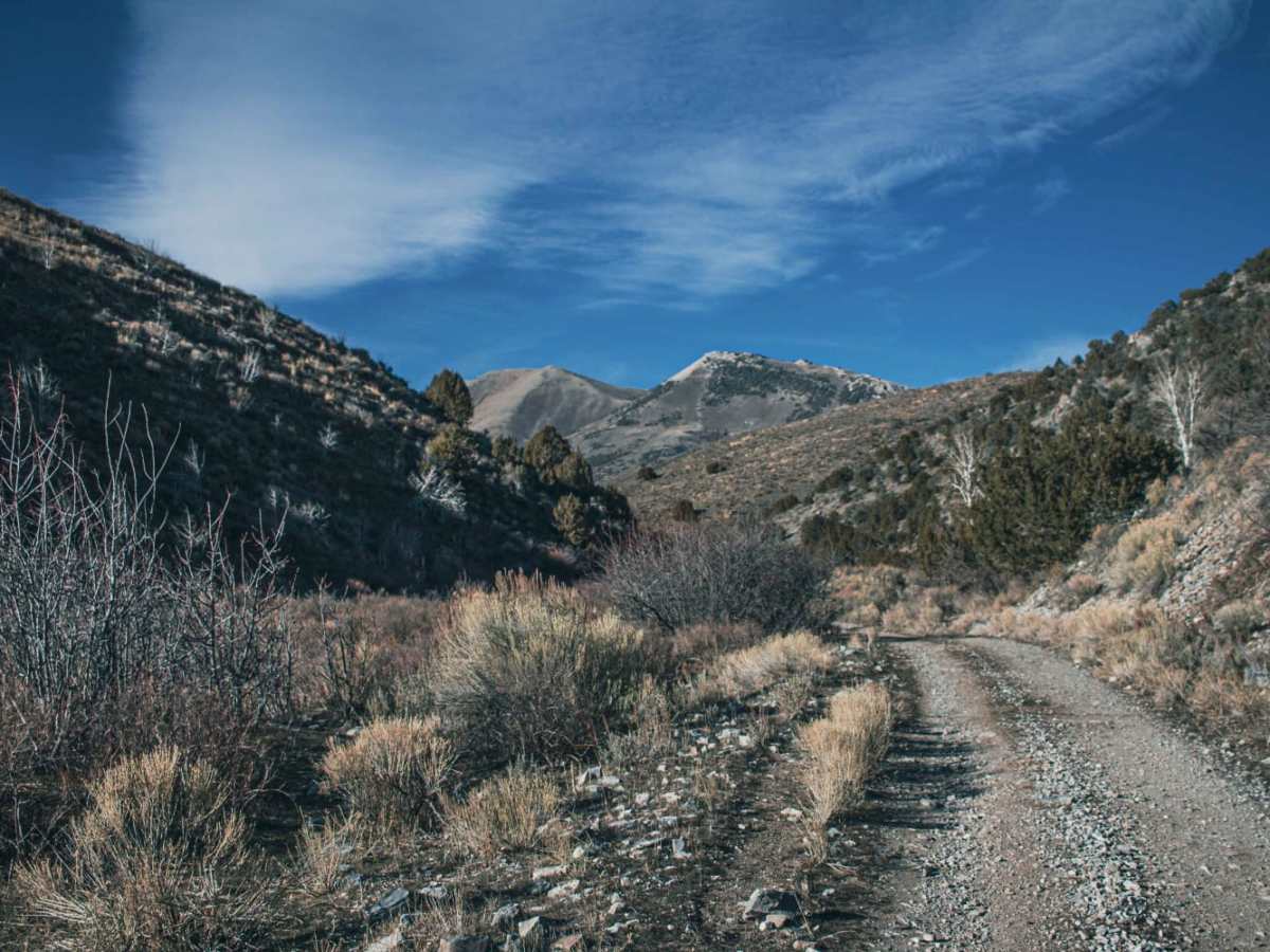 Black Pine Canyon photo 4
