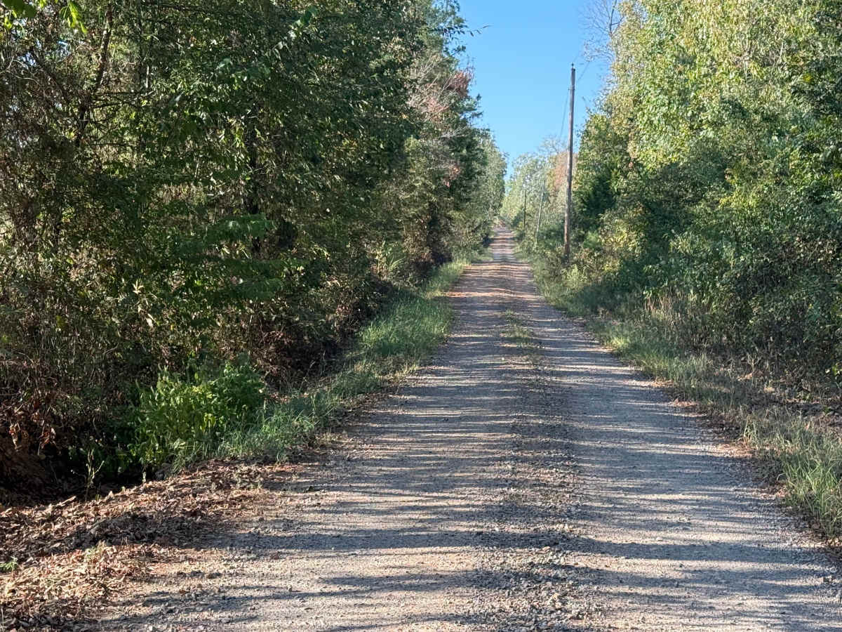 Old Waters HIghway photo 3