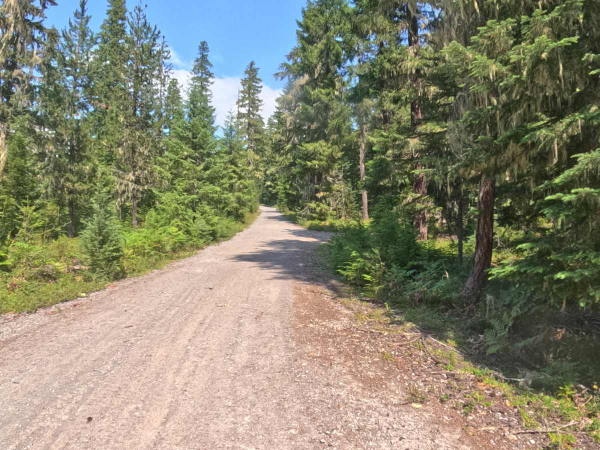 FS 2261310 trail photo