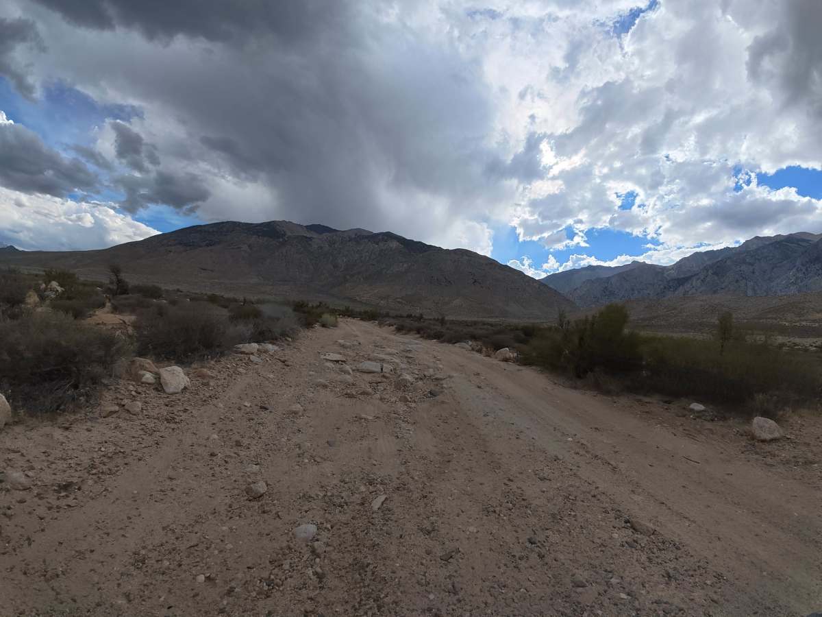 Elderberry Drainage Road photo 5