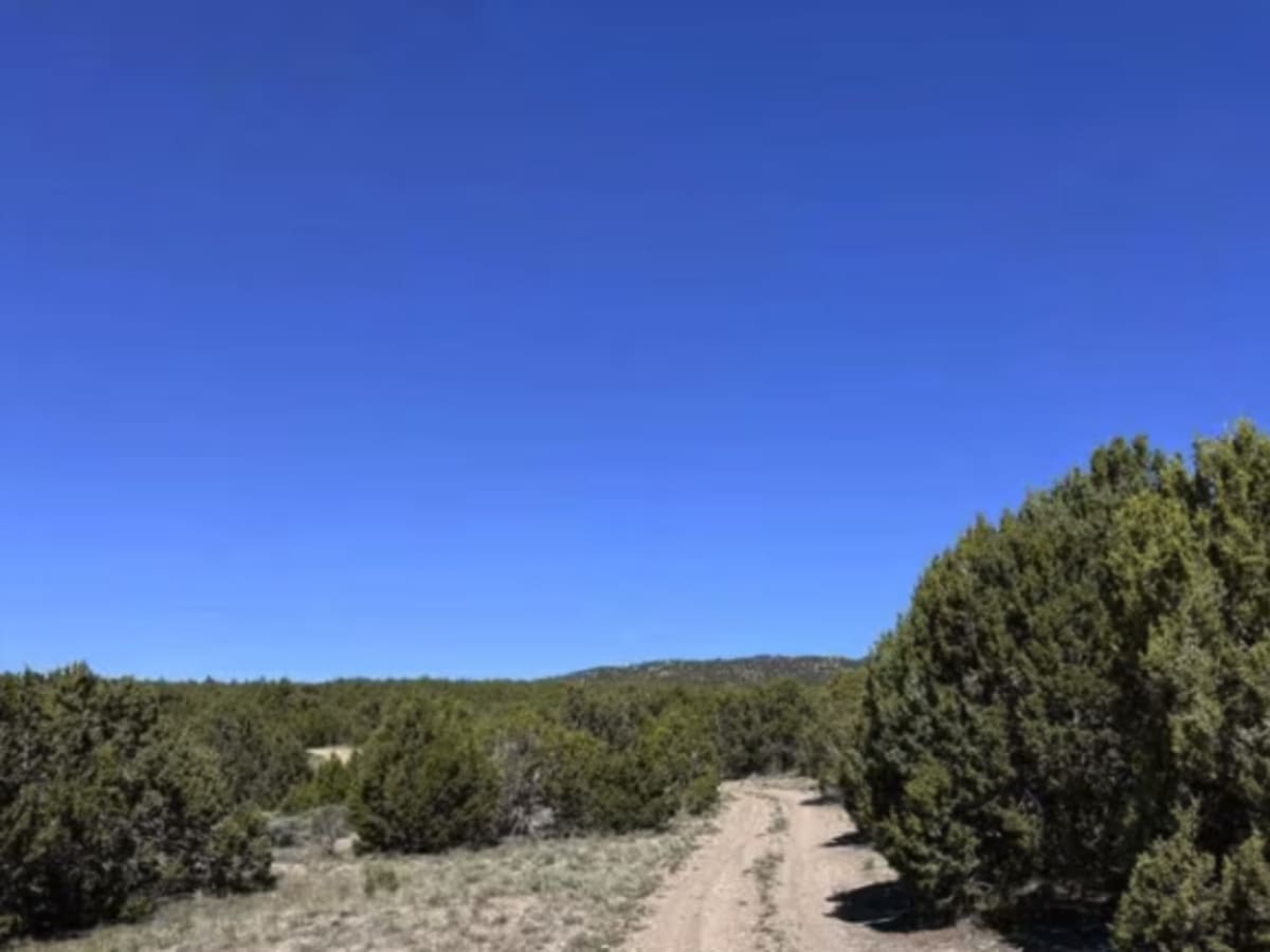 Formation Canyon photo 5