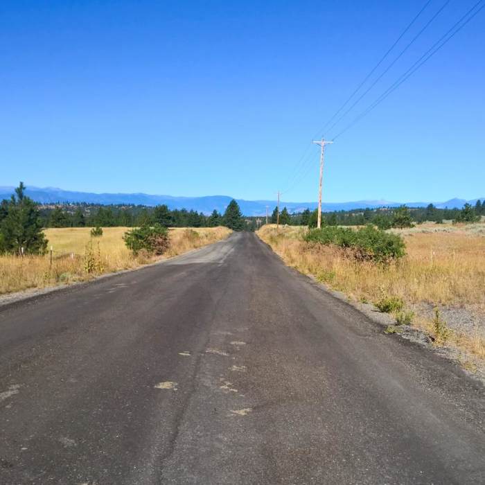 Near Pacific Northwest National Scenic Trail Section 8