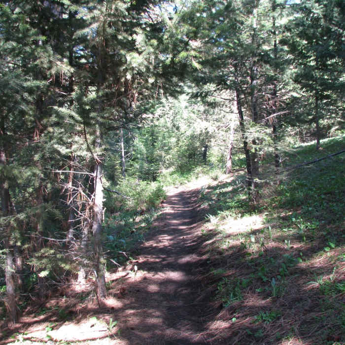Near Sound of Music Trail to Woods Gulch Overlook