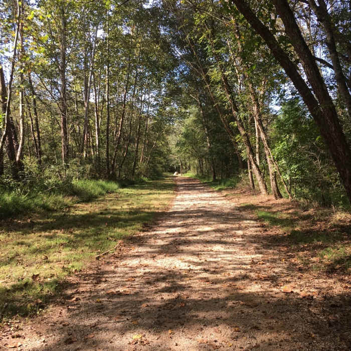 Lyle Creek Greenway Near Lyle Creek Greenway