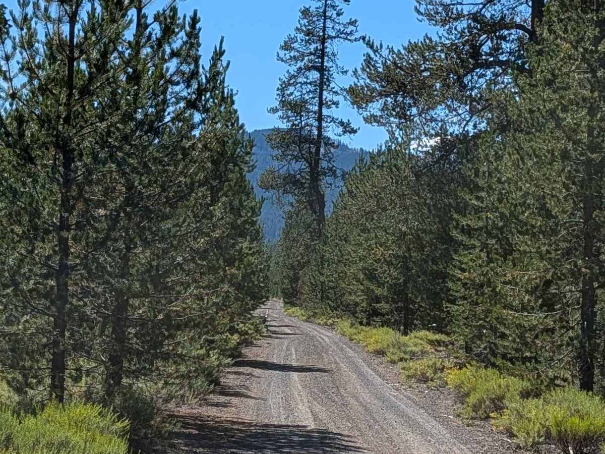 Hambone East - FS 41N23 photo 3