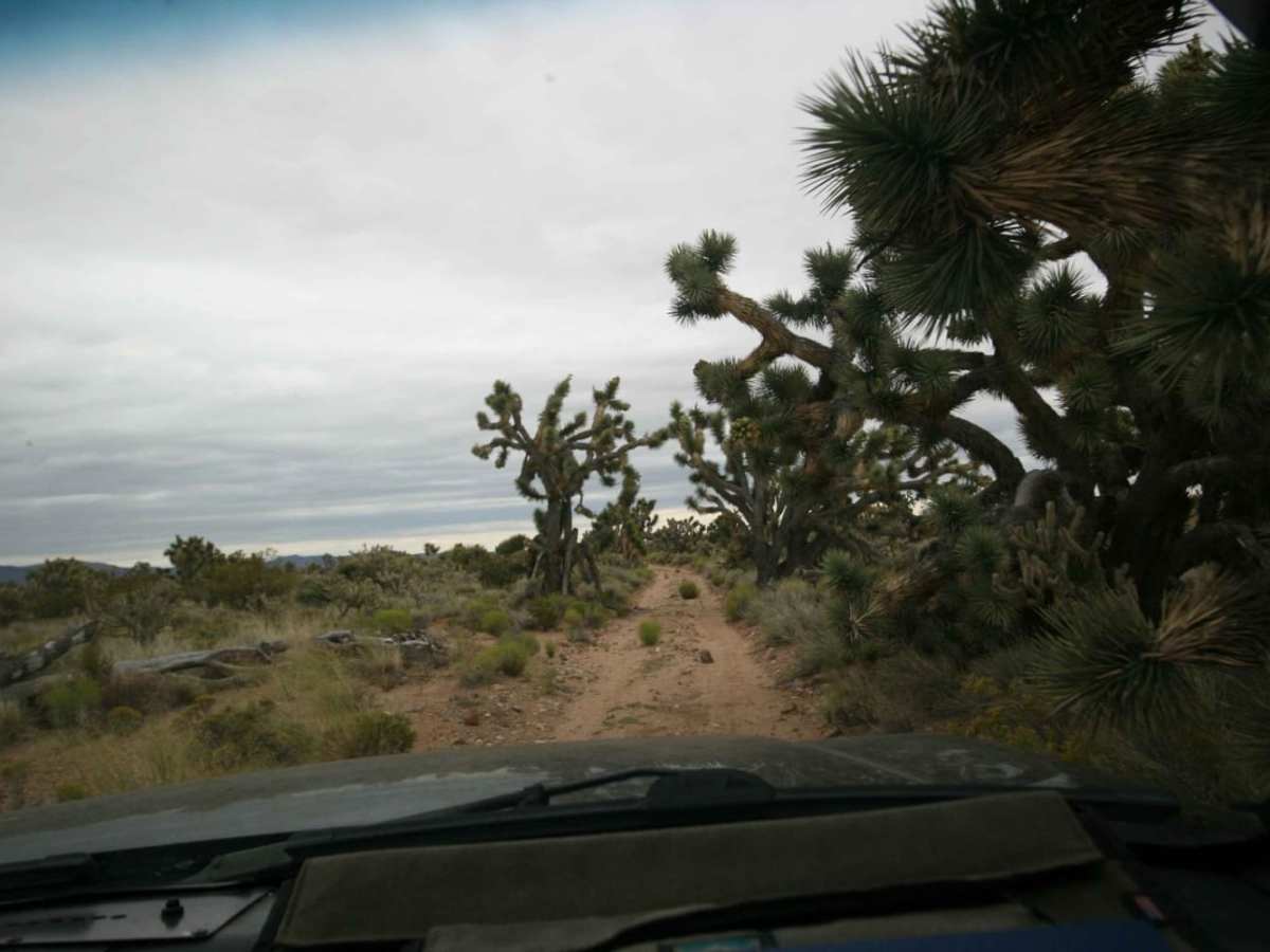 EMHT Segment 1: Needles to Ivanpah photo 4
