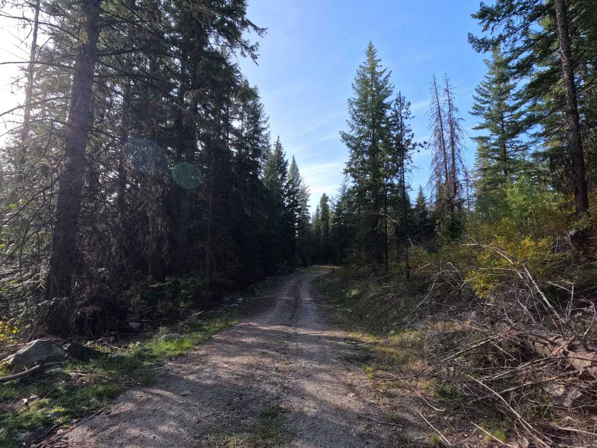 FS 3140501 photo 2