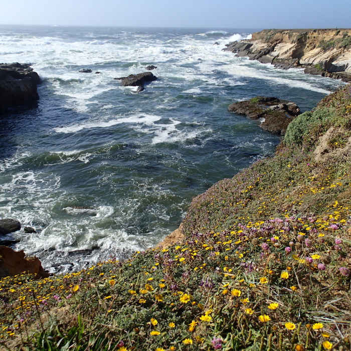 Near Lighthouse Trail