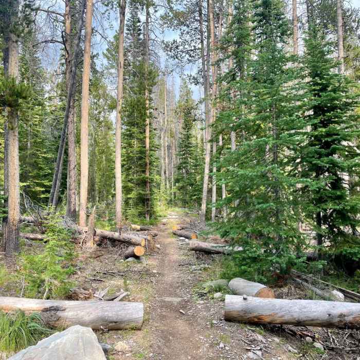 Near Continental Divide Trail: Montana-Idaho Section 10