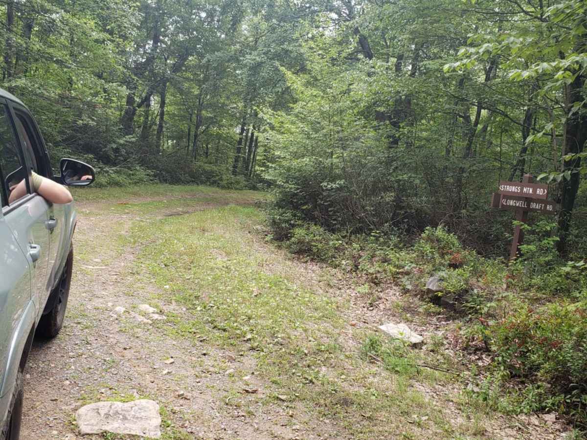 Strongs Mountain Trail trail photo