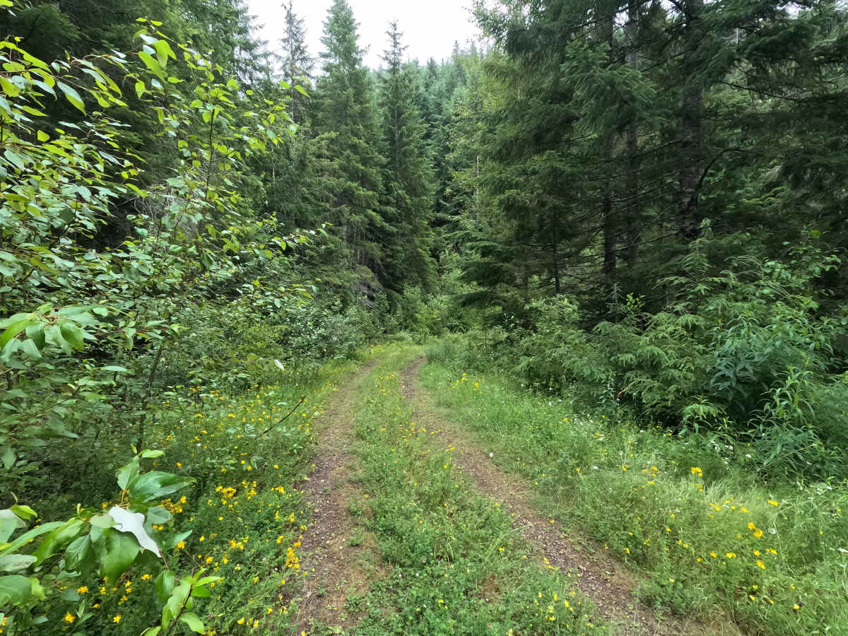 FS 2352400 photo 3