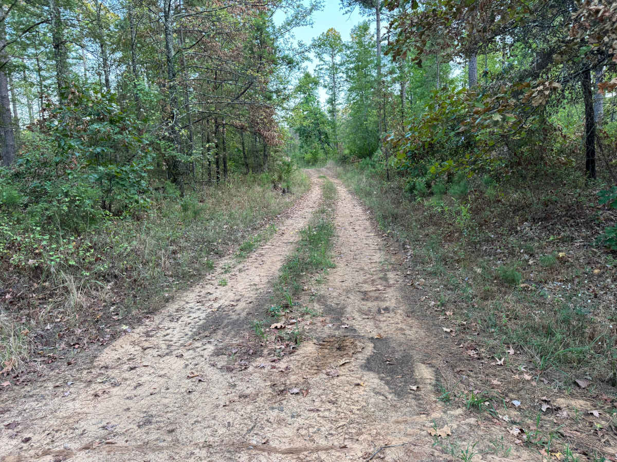 FS 96053B trail photo