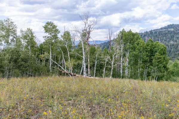 Olsen - Clear Creek Trail