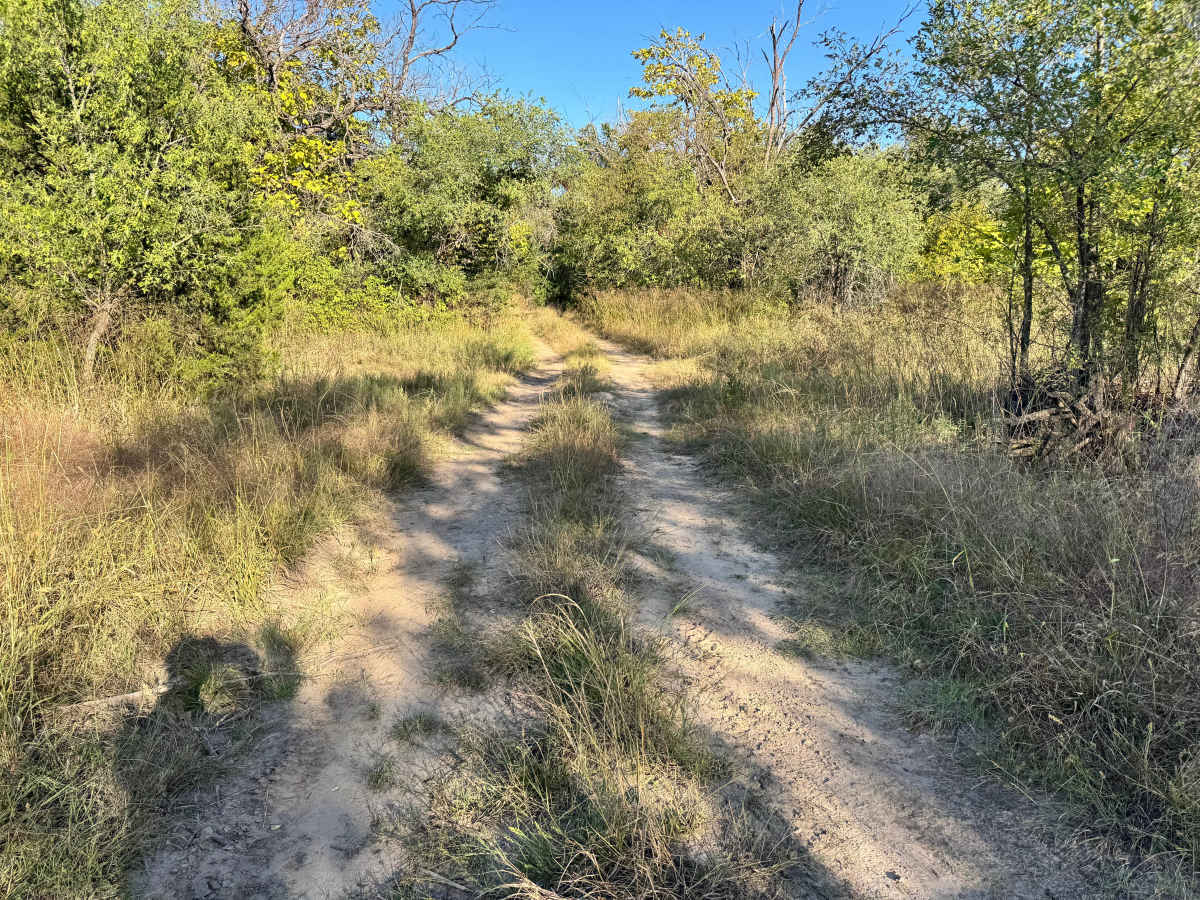 Freightliner Falls trail photo
