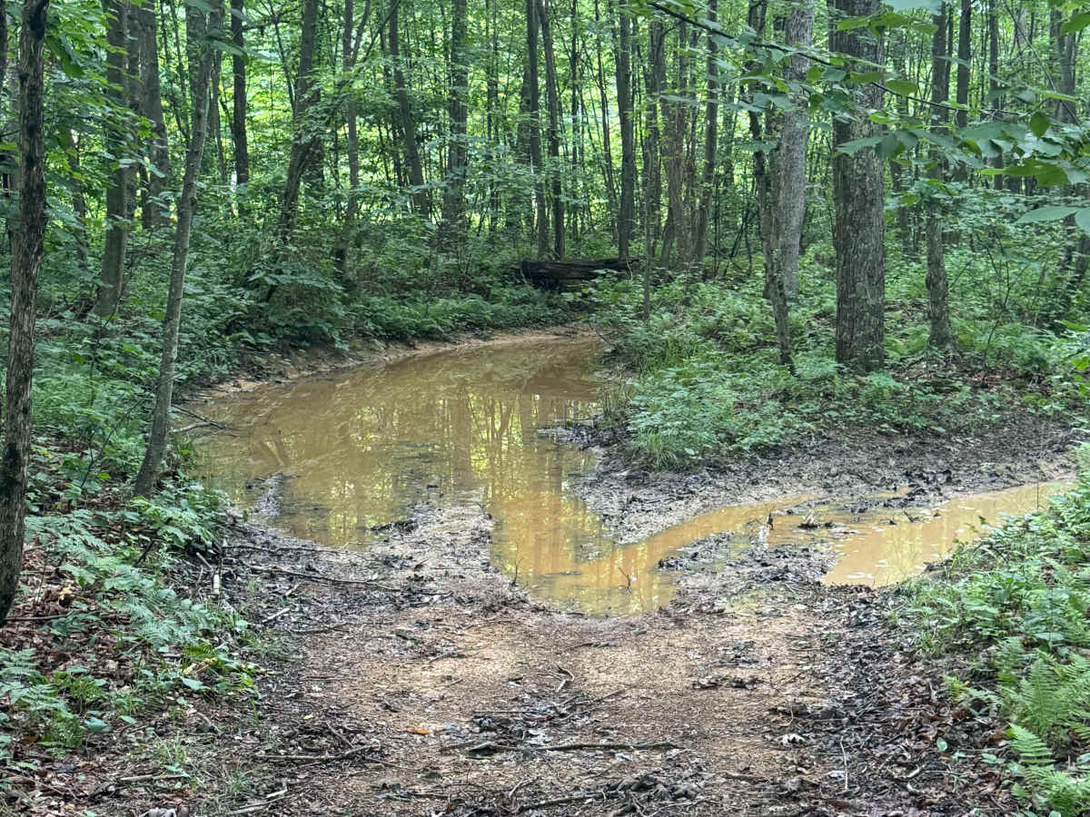 Trail 62 photo 2