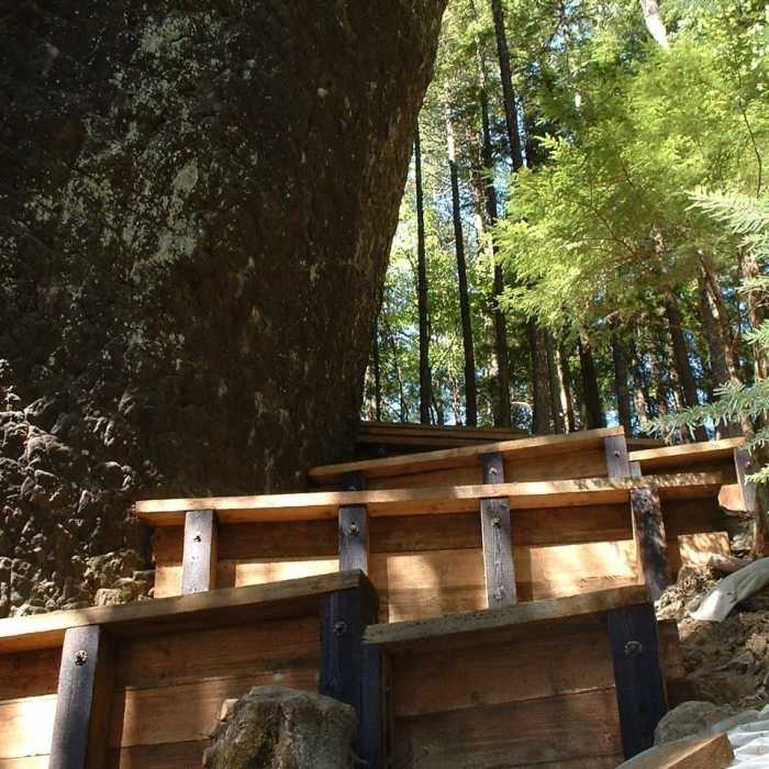 Near French's Dome Trail #776C