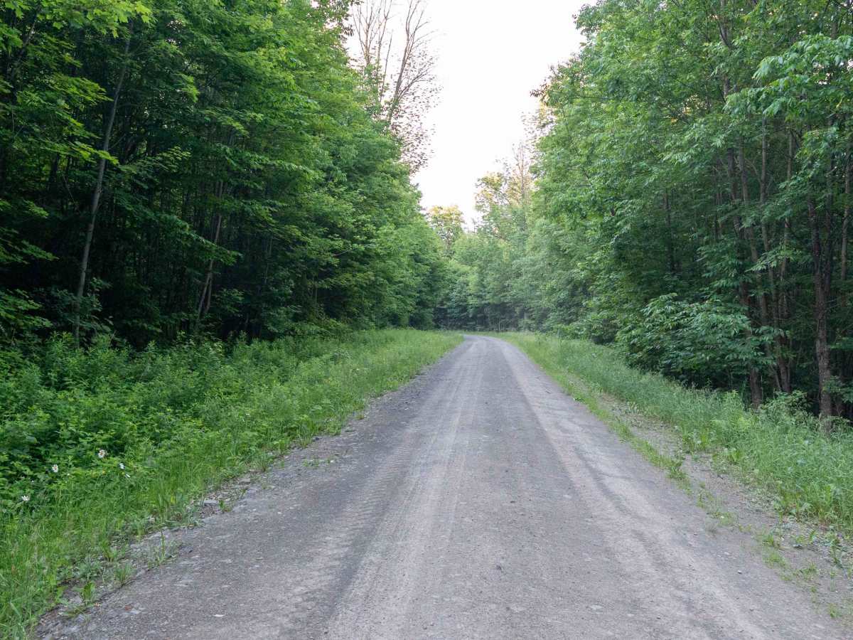 Truck Trail 7 photo 5
