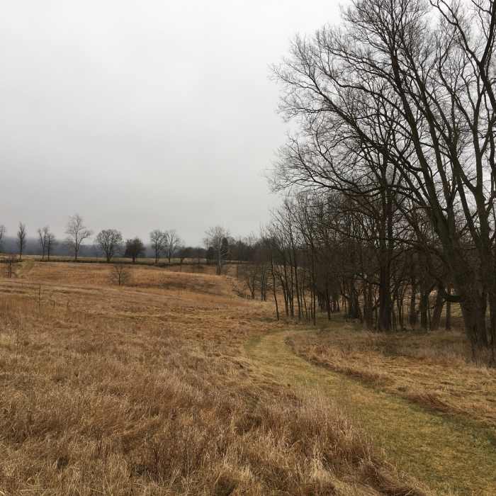 Near Battlefield Forest Creek Loop