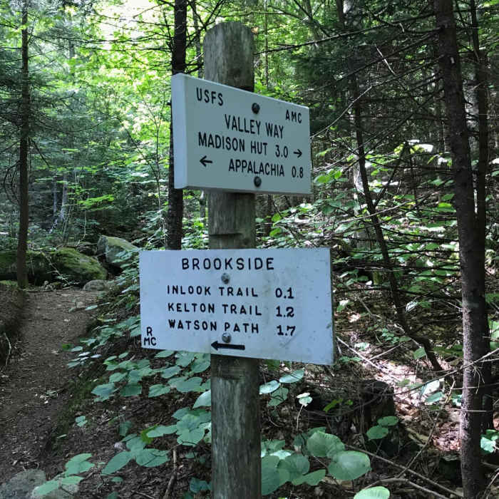 Near The Presidential Traverse