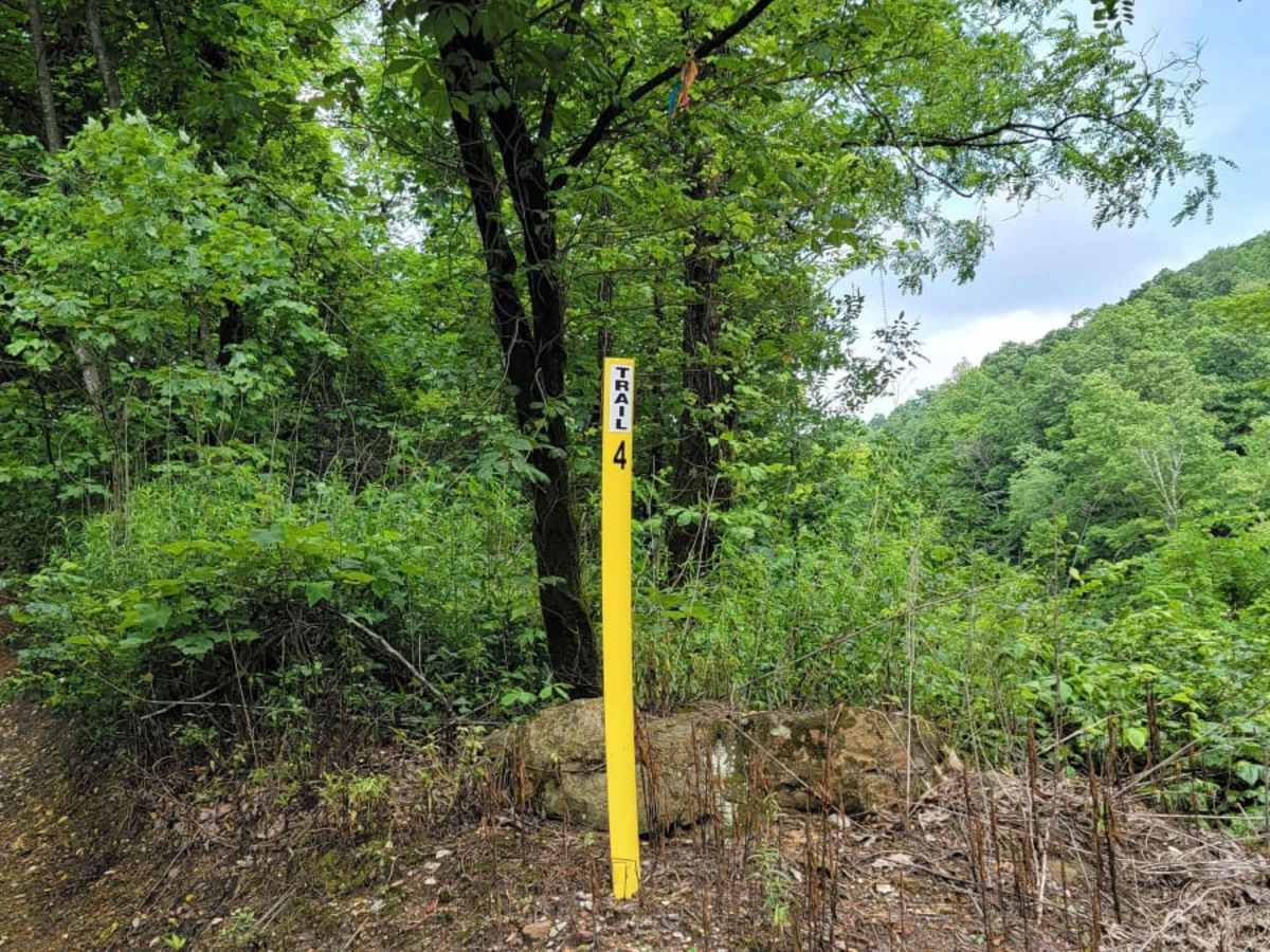 Trail 4 photo 6