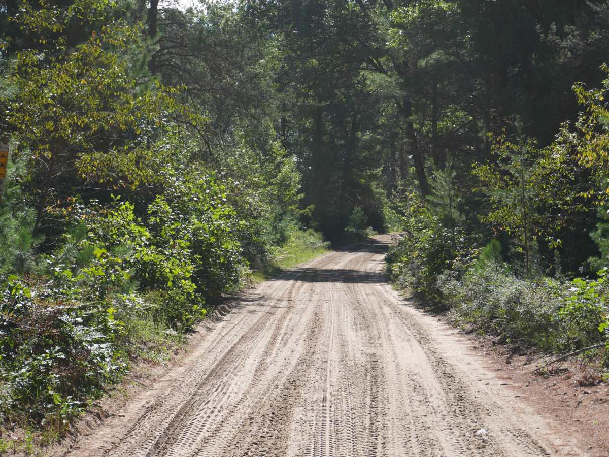 Rollway ORV Trail photo 6