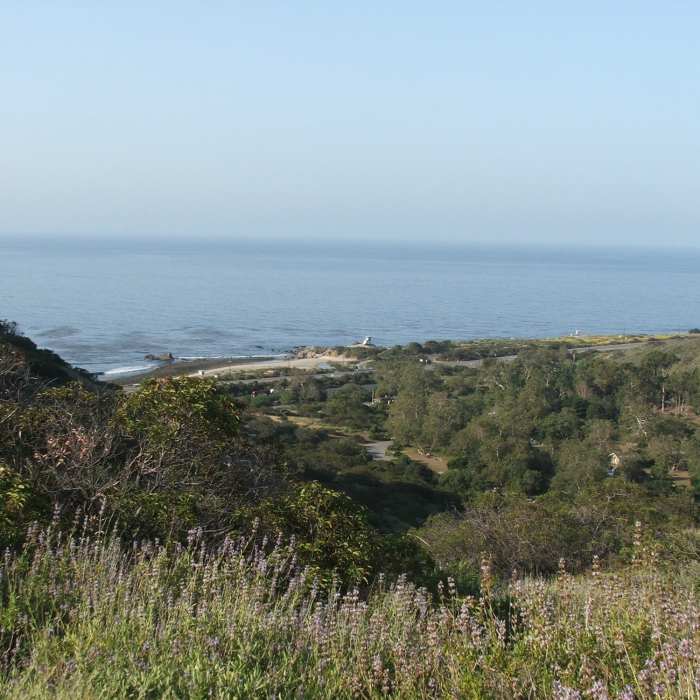 Near Nicholas Pond Loop